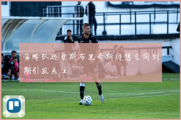 黄蜂队迈尔斯布里奇斯待售合同到期引发关注