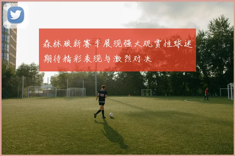 森林狼新赛季展现强大观赏性球迷期待精彩表现与激烈对决